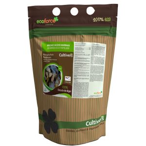 Abono Algas Marinas Ascophyllum nodosum