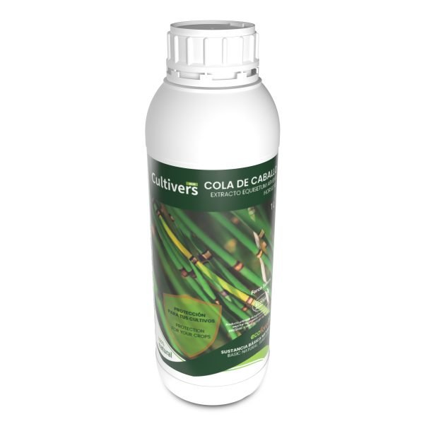 Horsetail