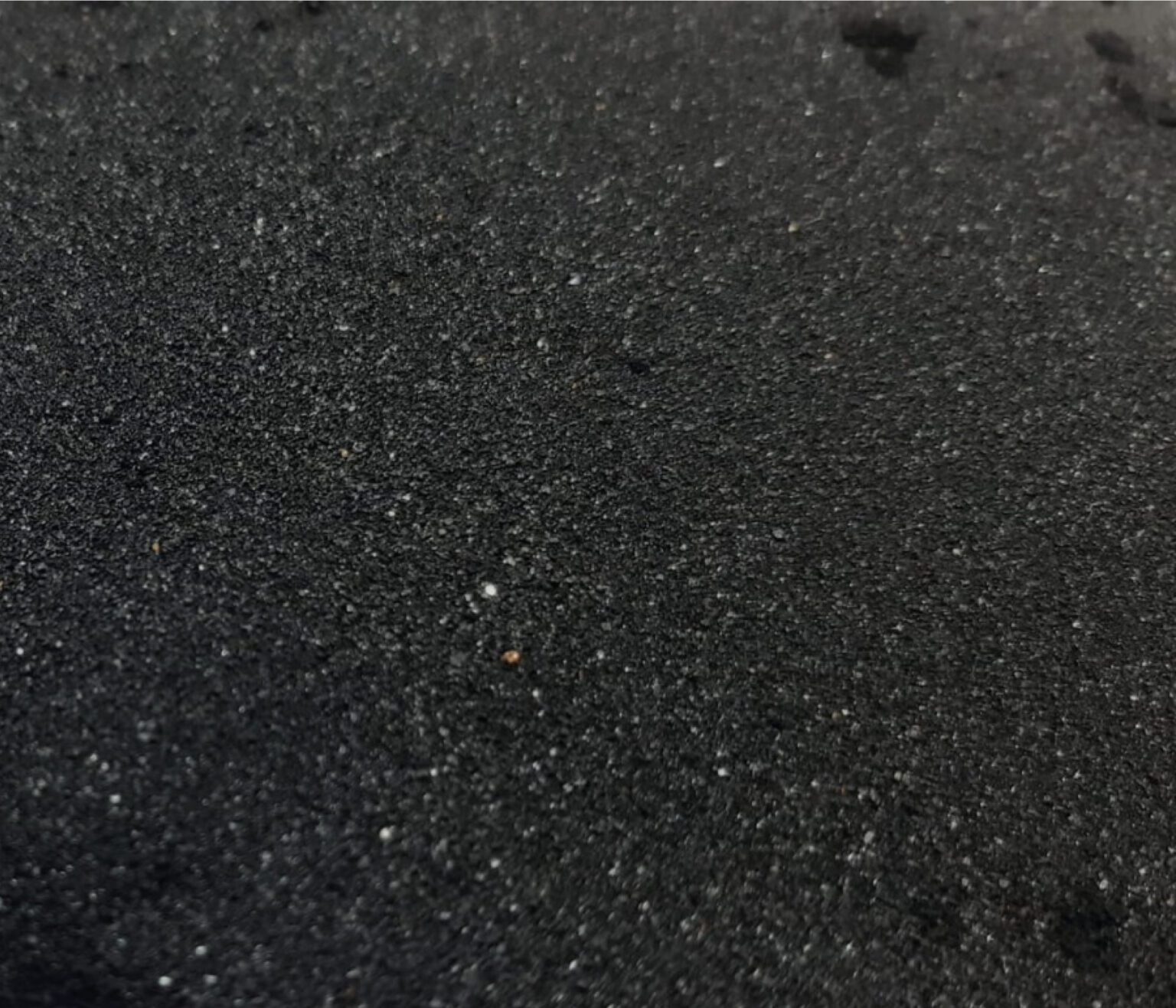 Seaweed Fertilizer Ascophyllum nodosum 3 Seaweed Fertilizer Ascophyllum nodosum - Image 3