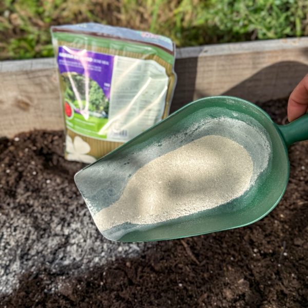 Flour Bone 10 Flour Bone