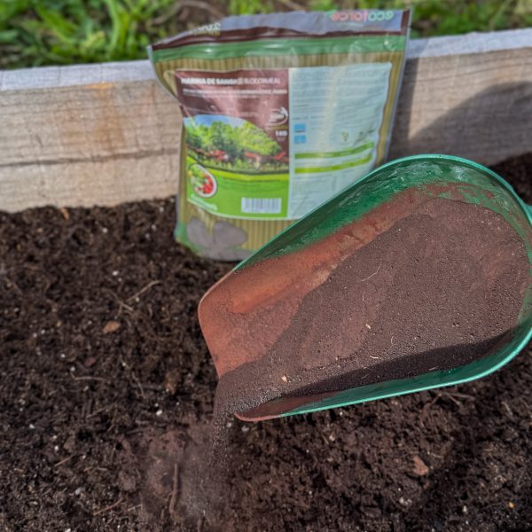 Blood Flour 11 Blood Flour