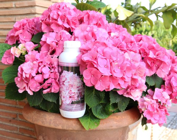 Concime per ortensie liquido organico - immagine 3