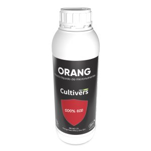Guida alla coltivazione del prezzemolo 5 Orang