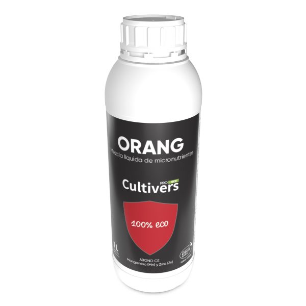 Orang