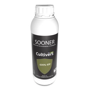 Guía del cultivo del Rabanito 6 Sooner