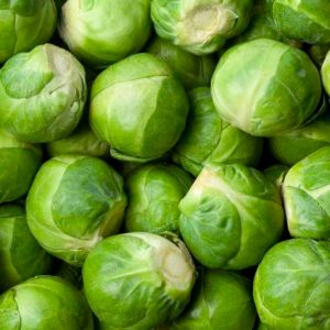 Semillas Col de Bruselas Groninger