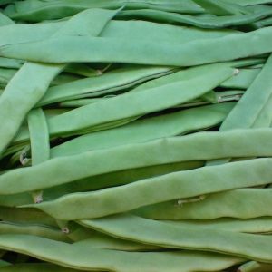 Semi di fagiolo verde Vitalis