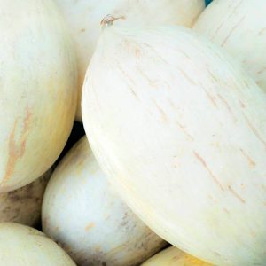 Semillas Melón Blanco de Ribatejo