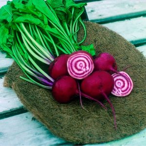 Semillas Remolacha Chioggia