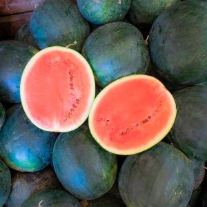 Semillas Sandía Sugar Baby Biodinámicas Demeter