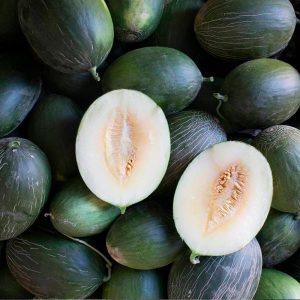 Semillas Melón Manuel António