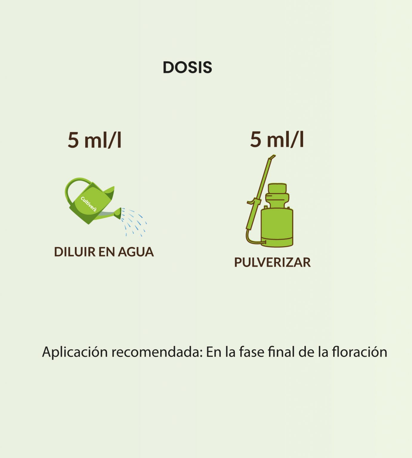 BudsPunch 3 BudsPunch - immagine 3