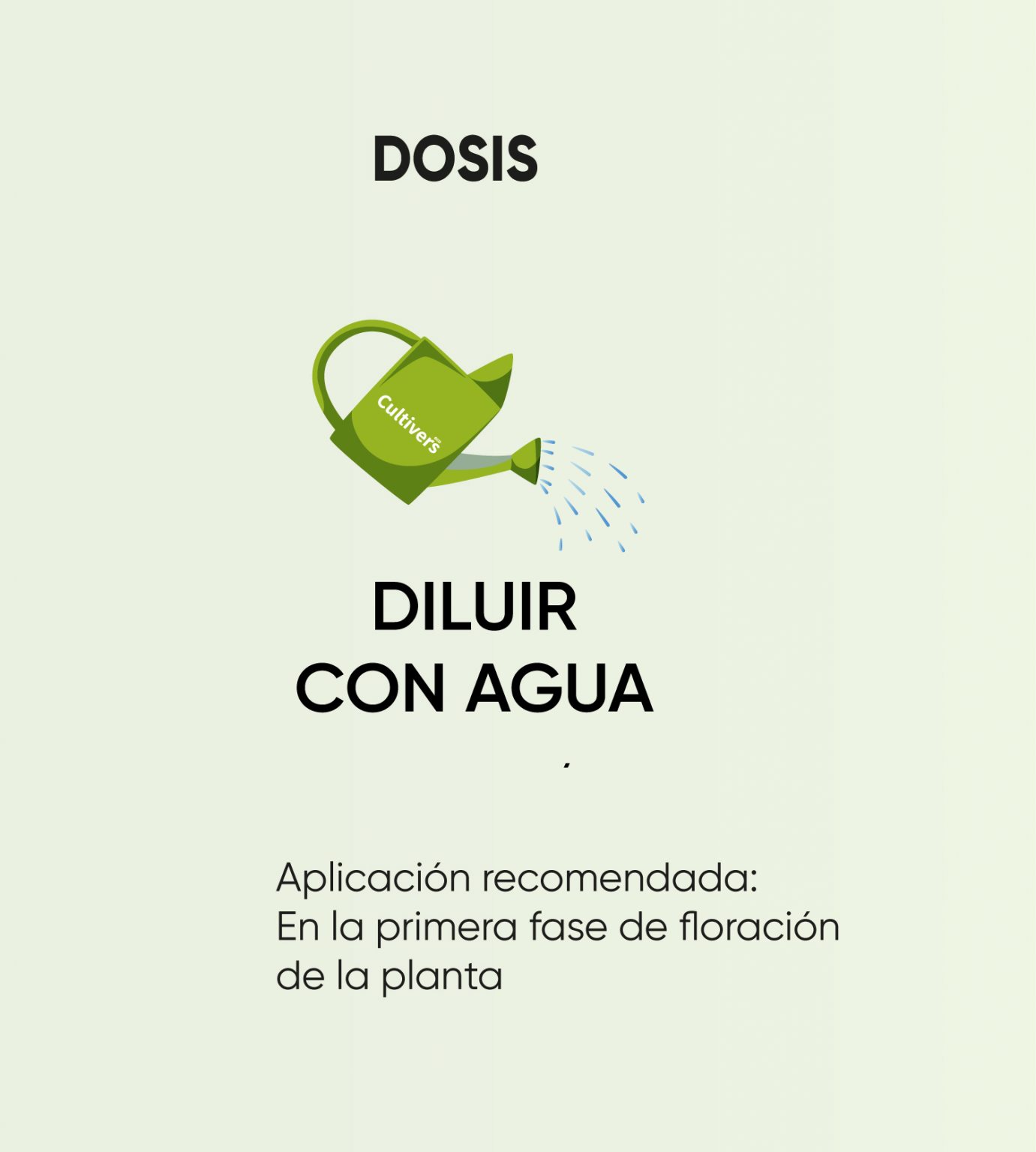 BloomPunch 3 BloomPunch - immagine 3