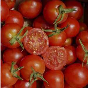 Semillas Tomate Cherry Miel Du Mexique