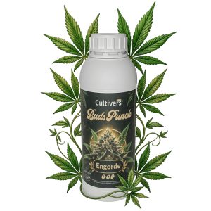 BudsPunch Abono Floración y Engorde
