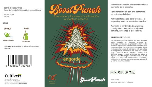 BoostPunch - Image 2