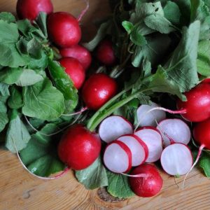 Semillas Rabanito Cherry Belle