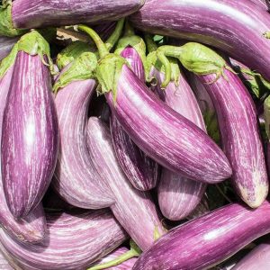 Semillas Berenjena Tsakoniki Biodinámicas Demeter