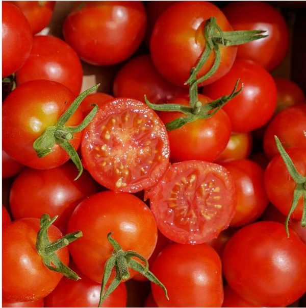 tomate miel du mexique e1670249089534