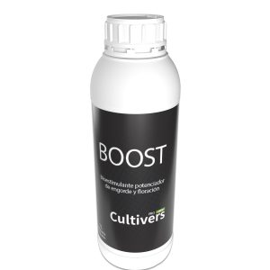 GR3D_boost-1L-OK-Vista attuale
