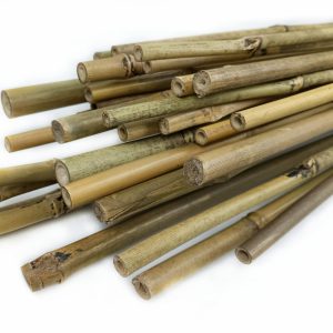 Bamboo stakes