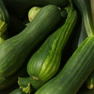 Semilla de Calabaza Pleine de Naples