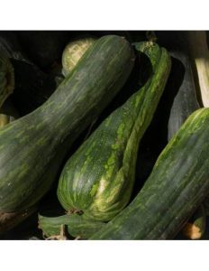 semillas calabaza pleine de naples