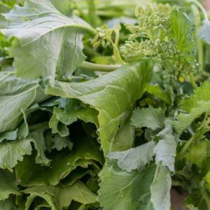 Semi di cime di rapa Senhora Conceição