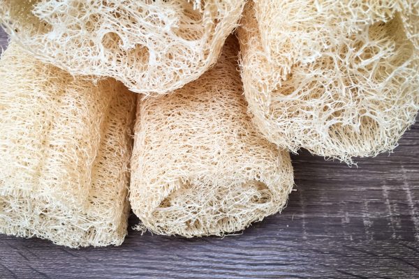 Semi di luffa - immagine 2