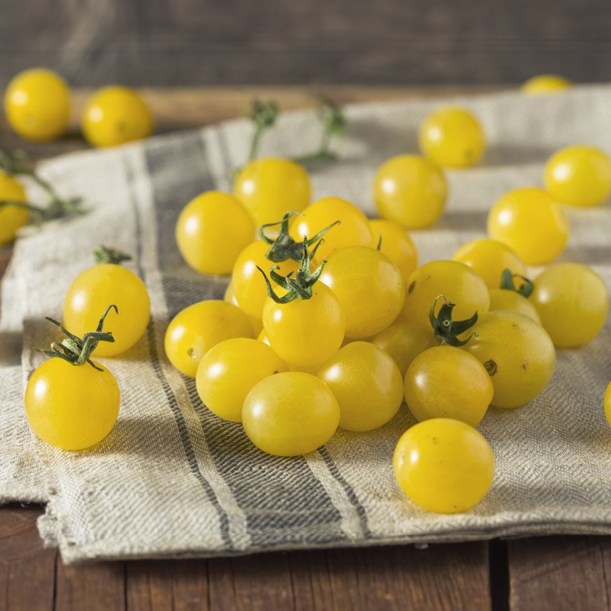 Cherry Snowberry Tomato Seeds 1 Cherry Snowberry Tomato Seeds