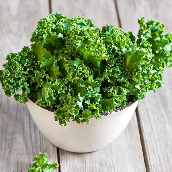Semillas de Col Kale Westlandse Winter - Imagen 2
