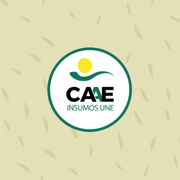 abonos CAAE