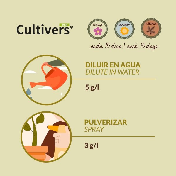 Calcio Tomates y Pimientos - Imagen 3