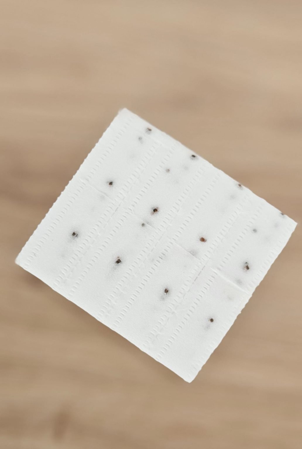 Lamb's lettuce seed strip 2 online_shop