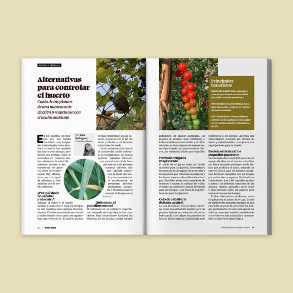 revista green vibes interior