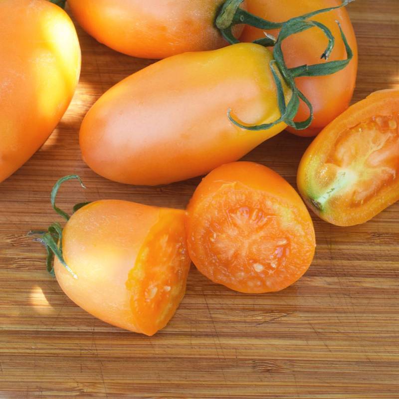 Organic Orange Banana Tomato Seeds | Cultivers