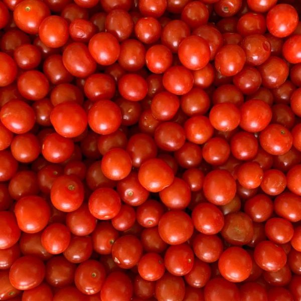 semillas