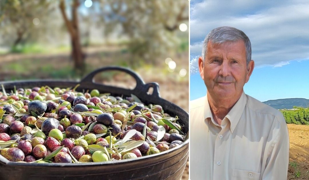 Cuando la agricultura da sus frutos
