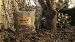 abona tus arboles para el invierno