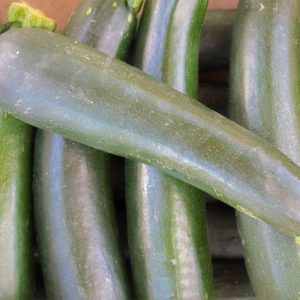 semillas de calabacín eco