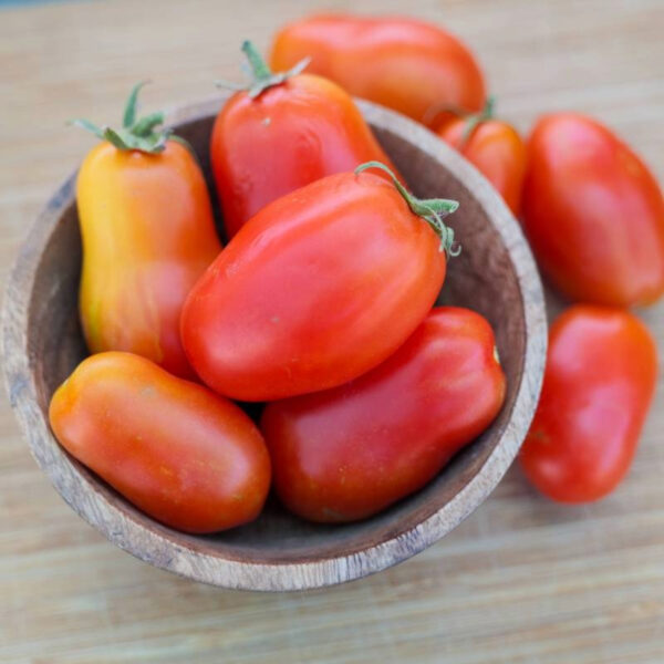 semillas tomate