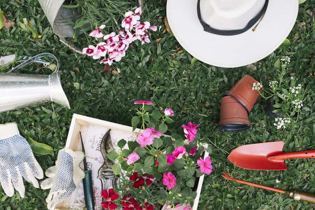 Qué flores plantar en otoño