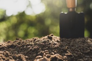 abonos ecológicos para el huerto