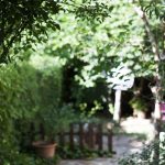 tareas en el jardín en mayo