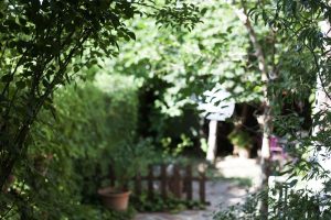 tareas en el jardín en mayo