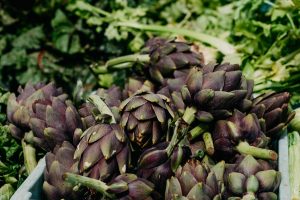 Plantar alcachofas: guía de cultivo