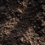 como hacer compost casero