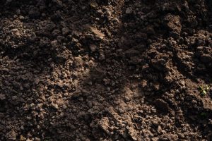 como hacer compost casero